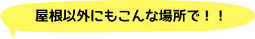 カラーベスト