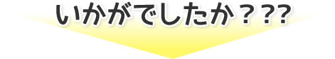 いかがでしたか