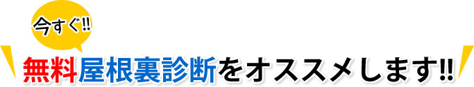 今すぐ無料屋根裏診断をオススメします