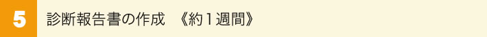 5.診断報告書の作成（約1週間）