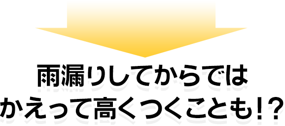 雨漏りしてからでは
かえって高くつくことも！？