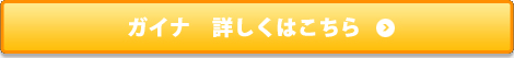 ガイナ 詳しくはこちら