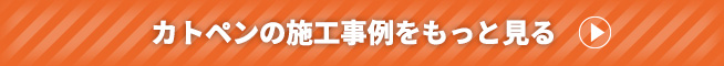 プロタイムズ東三河店の施工事例をもっと見る