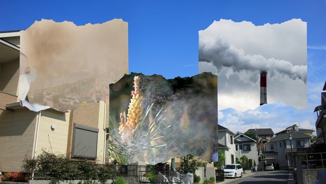 豊川市・豊橋市の外壁塗装：黄砂・花粉・産業がもたらす外壁劣化とその対策
