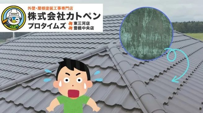 屋根や雨樋に緑青が発生した！原因やリスクは？メンテナンスすべき？