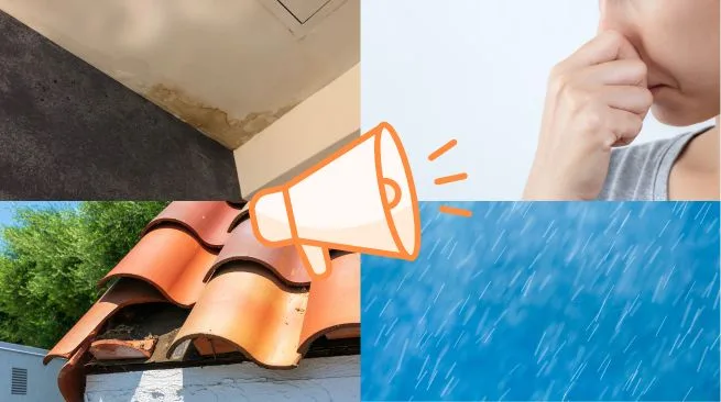 豊川市で今すぐ専門業者に相談すべき劣化サイン