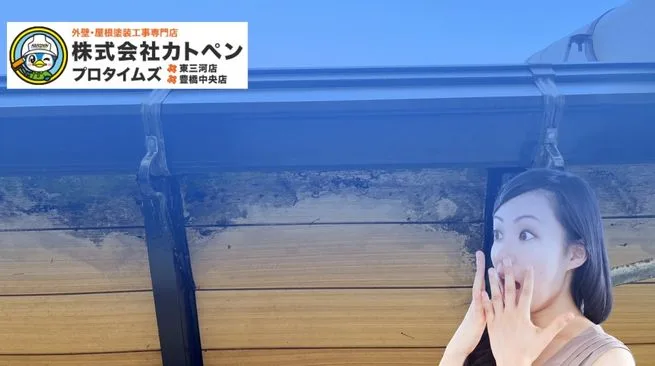 豊川市の屋根塗装はいつ必要？劣化サインと放置リスクを解説