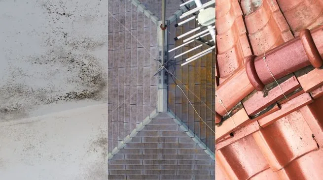 豊川市で多い屋根の劣化症状