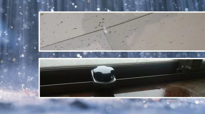 雨漏り修理で失敗しないための原因確認