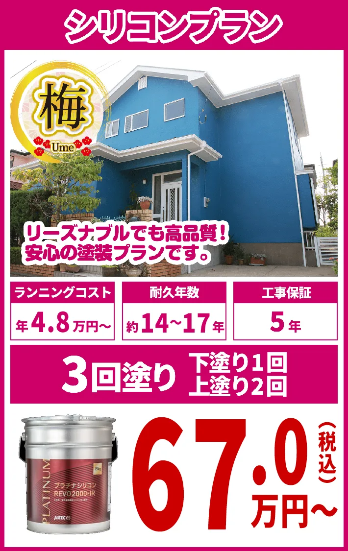 シリコンプラン・梅